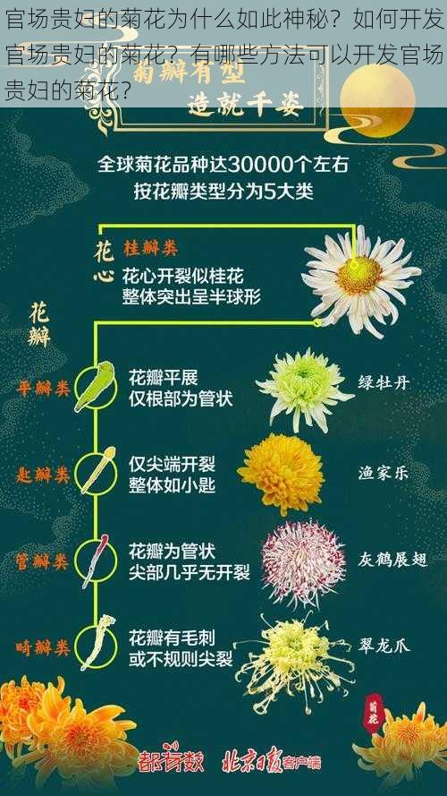 官场贵妇的菊花为什么如此神秘？如何开发官场贵妇的菊花？有哪些方法可以开发官场贵妇的菊花？