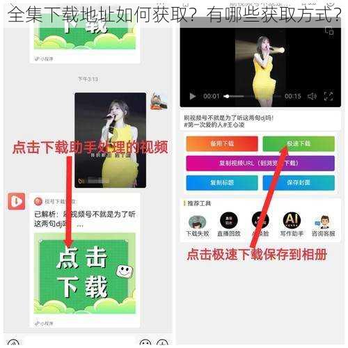 全集下载地址如何获取？有哪些获取方式？