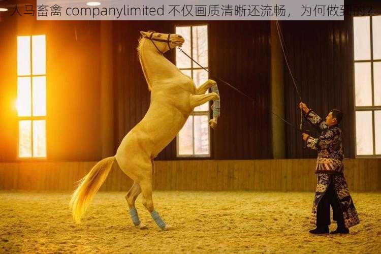 人马畜禽 companylimited 不仅画质清晰还流畅，为何做到的？