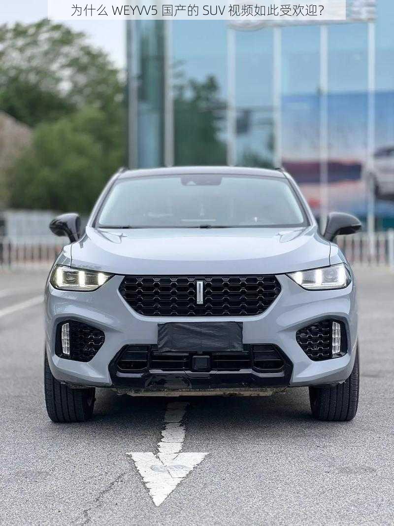 为什么 WEYVV5 国产的 SUV 视频如此受欢迎？