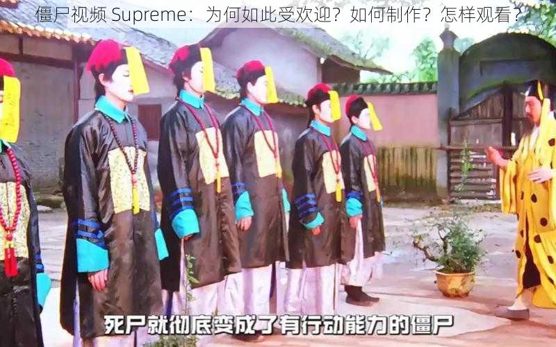 僵尸视频 Supreme：为何如此受欢迎？如何制作？怎样观看？