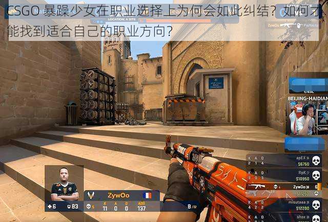 CSGO 暴躁少女在职业选择上为何会如此纠结？如何才能找到适合自己的职业方向？