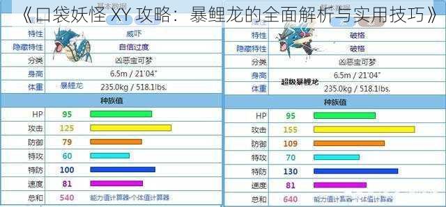 《口袋妖怪 XY 攻略：暴鲤龙的全面解析与实用技巧》