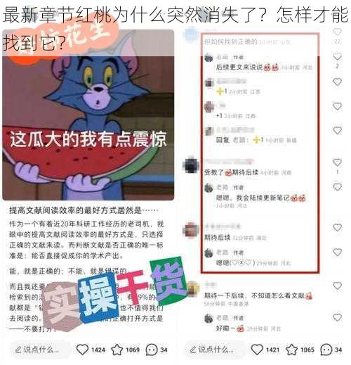 最新章节红桃为什么突然消失了？怎样才能找到它？