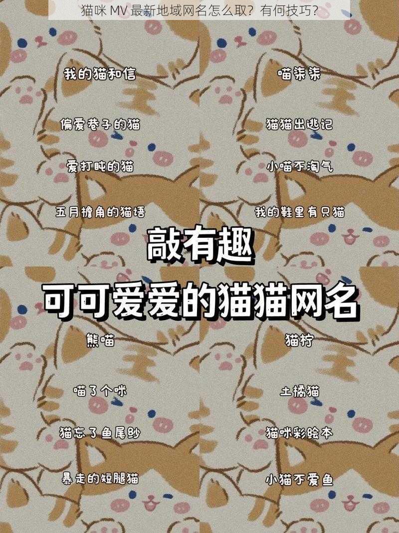 猫咪 MV 最新地域网名怎么取？有何技巧？