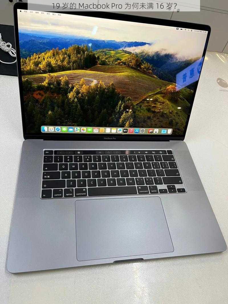 19 岁的 Macbook Pro 为何未满 16 岁？