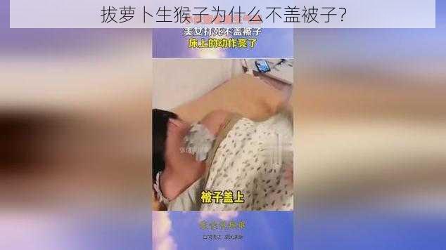 拔萝卜生猴子为什么不盖被子？