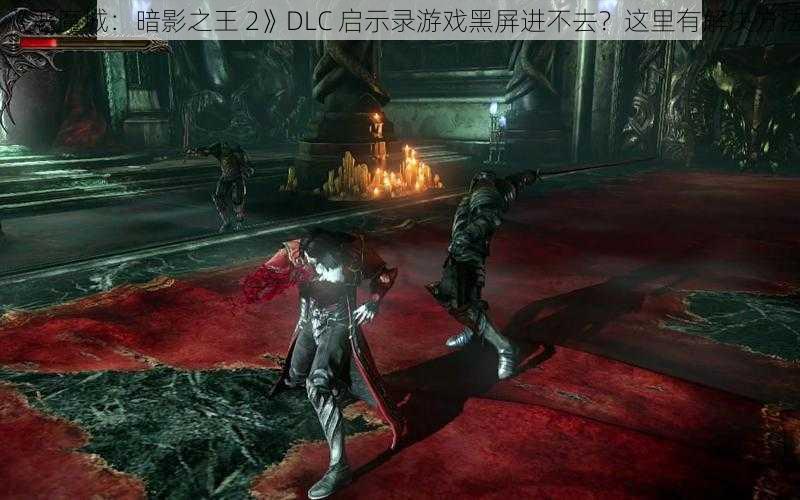 《恶魔城：暗影之王 2》DLC 启示录游戏黑屏进不去？这里有解决方法