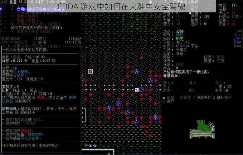 CDDA 游戏中如何在灾难中安全驾驶