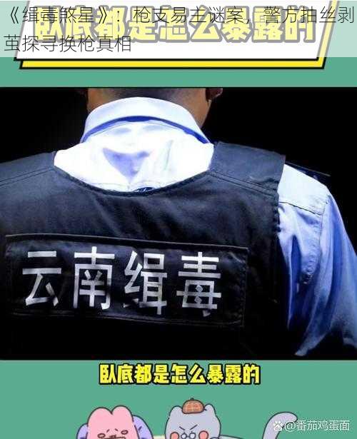 《缉毒煞星》：枪支易主谜案，警方抽丝剥茧探寻换枪真相