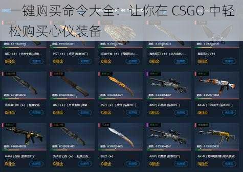 一键购买命令大全：让你在 CSGO 中轻松购买心仪装备