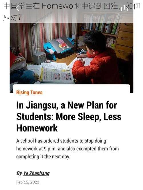 中国学生在 Homework 中遇到困难，如何应对？