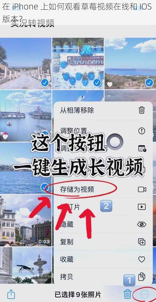 在 iPhone 上如何观看草莓视频在线和 IOS 版本？