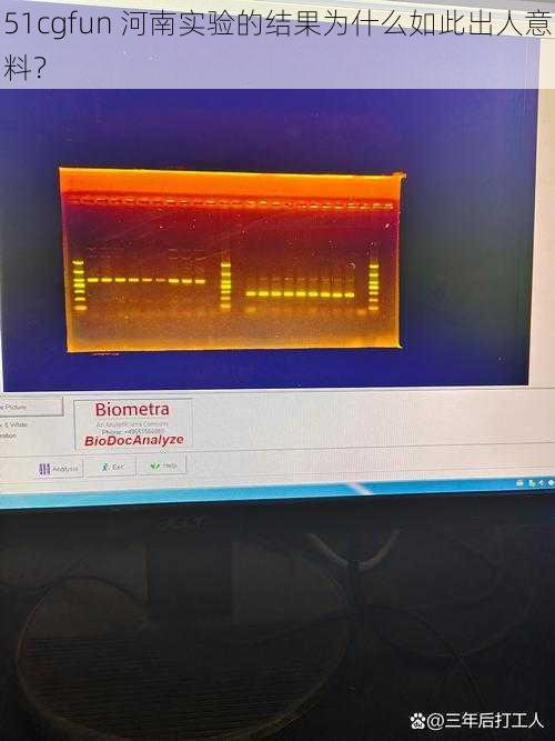 51cgfun 河南实验的结果为什么如此出人意料？