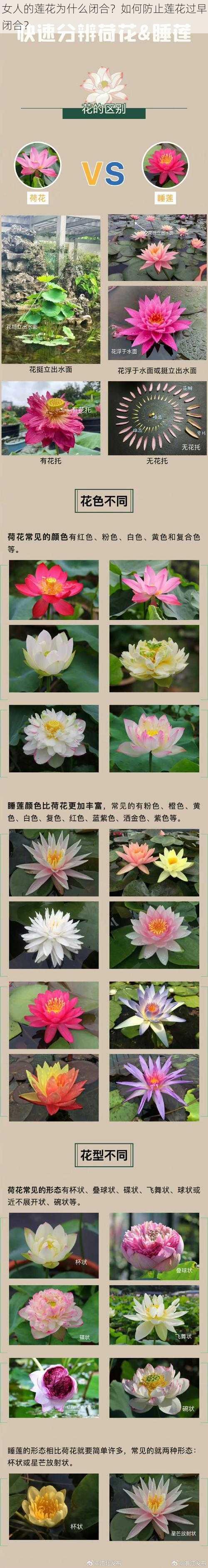 女人的莲花为什么闭合？如何防止莲花过早闭合？