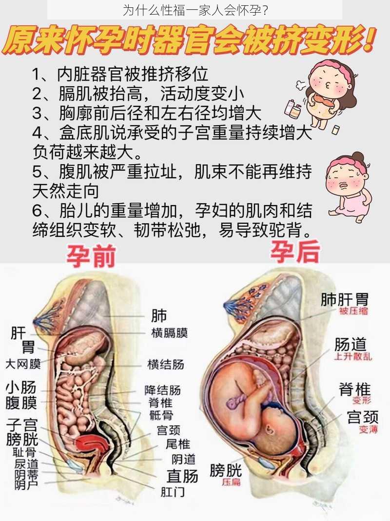 为什么性福一家人会怀孕？