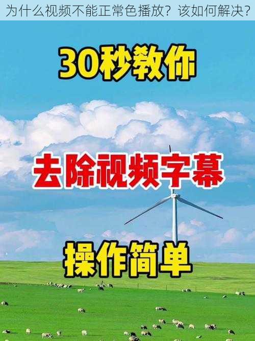 为什么视频不能正常色播放？该如何解决？