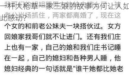 一杆大枪草一家三娘的故事为何让人如此感动？