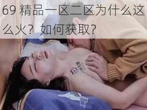 69 精品一区二区为什么这么火？如何获取？