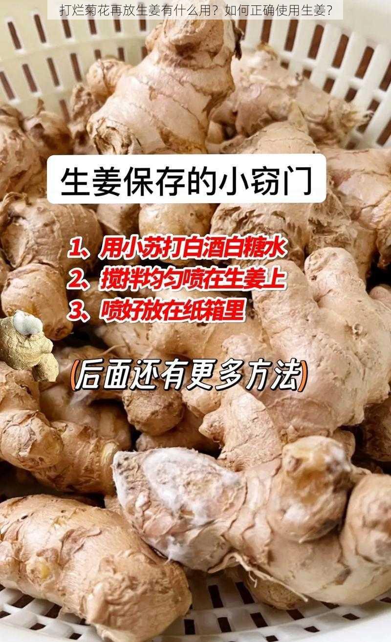 打烂菊花再放生姜有什么用？如何正确使用生姜？