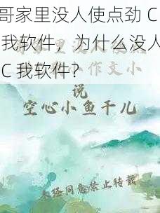 哥家里没人使点劲 C 我软件，为什么没人 C 我软件？