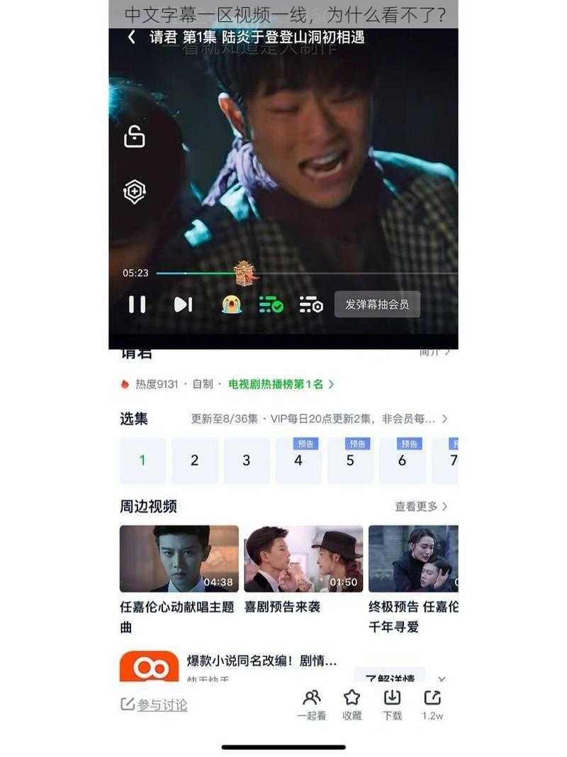 中文字幕一区视频一线，为什么看不了？