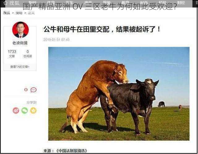 国产精品亚洲 OV 三区老牛为何如此受欢迎？