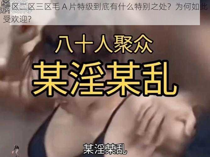 一区二区三区毛 A 片特级到底有什么特别之处？为何如此受欢迎？