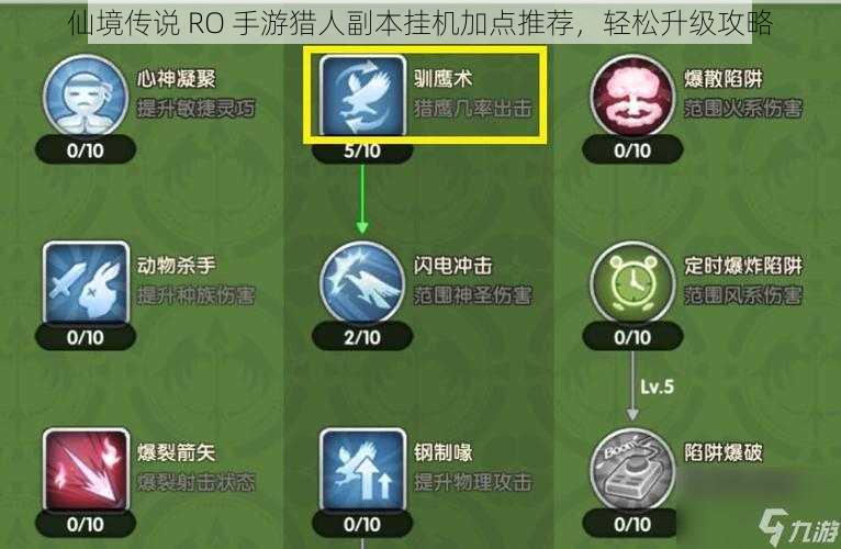 仙境传说 RO 手游猎人副本挂机加点推荐，轻松升级攻略