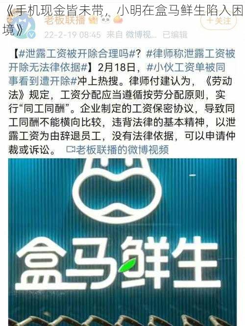 《手机现金皆未带，小明在盒马鲜生陷入困境》