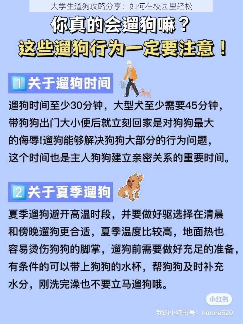 大学生遛狗攻略分享：如何在校园里轻松