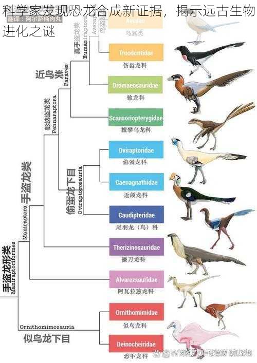 科学家发现恐龙合成新证据，揭示远古生物进化之谜