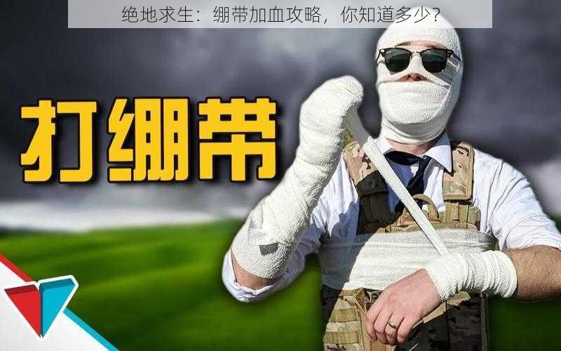 绝地求生：绷带加血攻略，你知道多少？