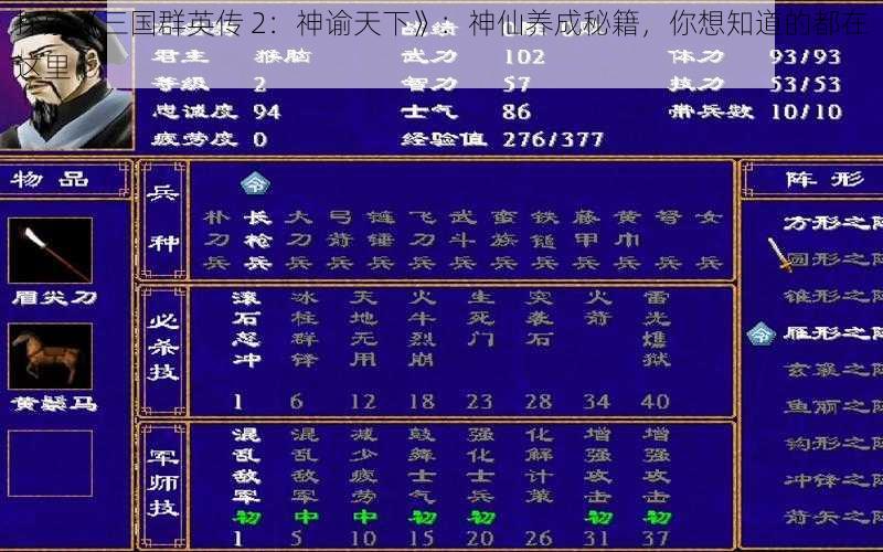 探索《三国群英传 2：神谕天下》：神仙养成秘籍，你想知道的都在这里