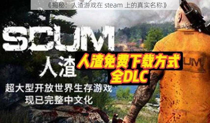 《揭秘：人渣游戏在 steam 上的真实名称》