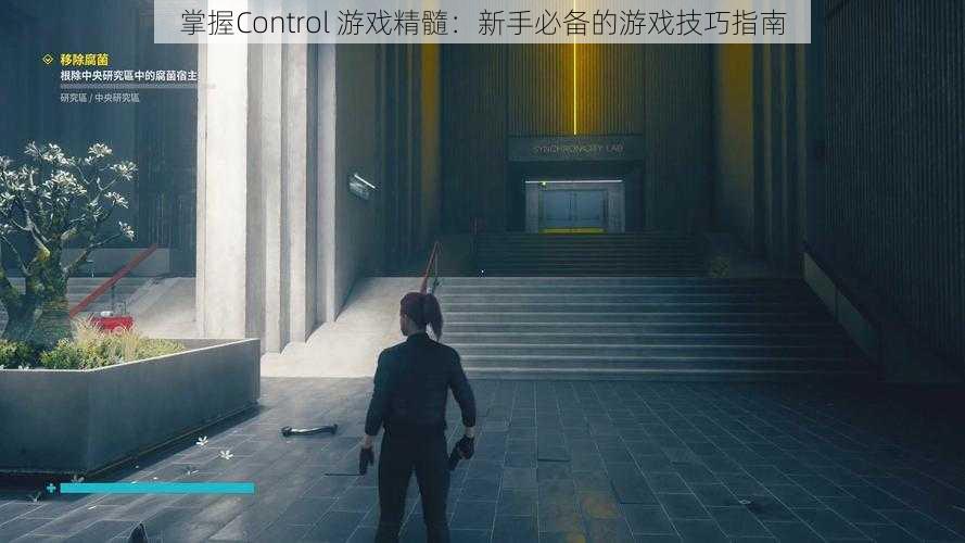 掌握Control 游戏精髓：新手必备的游戏技巧指南