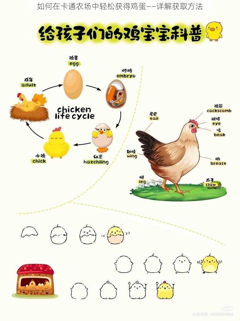 如何在卡通农场中轻松获得鸡蛋——详解获取方法