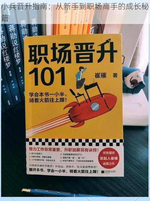 小兵晋升指南：从新手到职场高手的成长秘籍