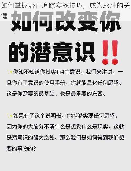 如何掌握潜行追踪实战技巧，成为取胜的关键